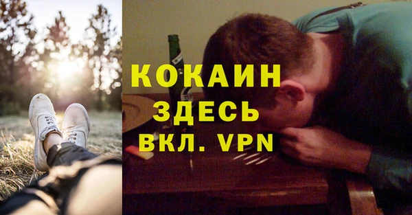 ГАЛЛЮЦИНОГЕННЫЕ ГРИБЫ Аркадак