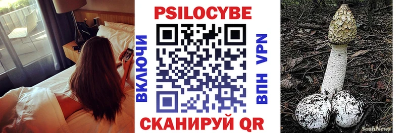 где купить наркоту Сурск Псилоцибиновые грибы Cubensis