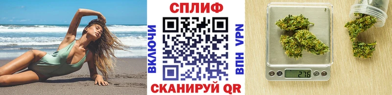 kraken ССЫЛКА  наркота  Сурск  МАРИХУАНА THC 21% 